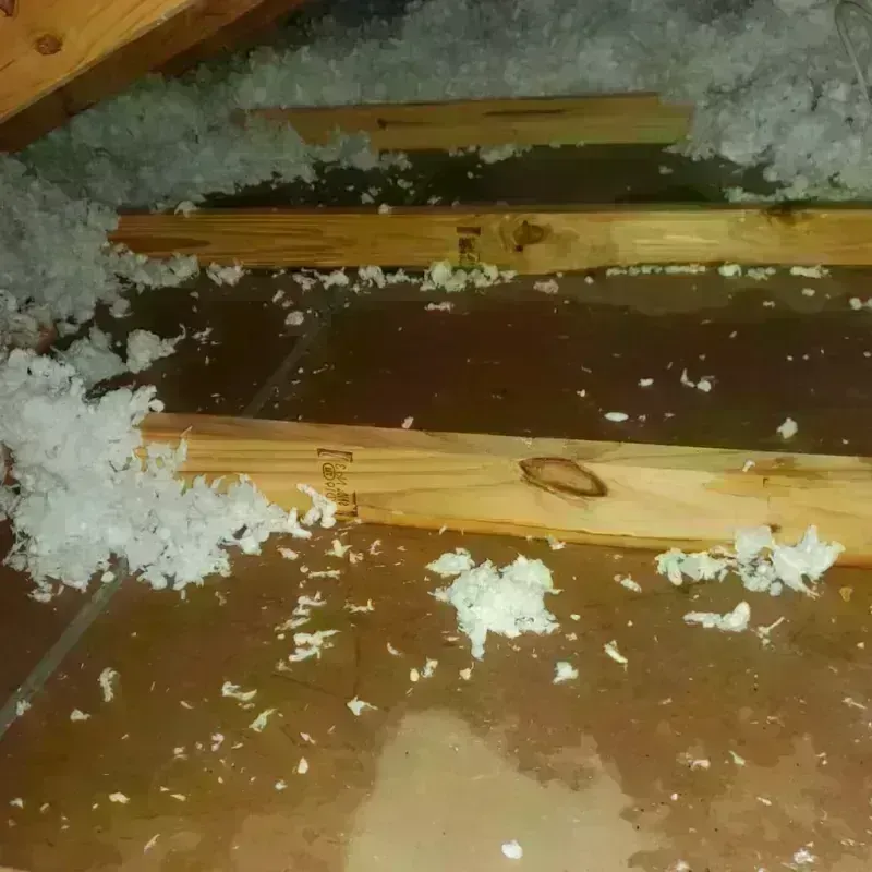 Attic Water Damage in Mangonia Park, FL